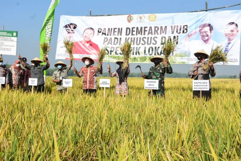 Bupati Unggulkan Beras Tinggi Zinc Tekan Stunting