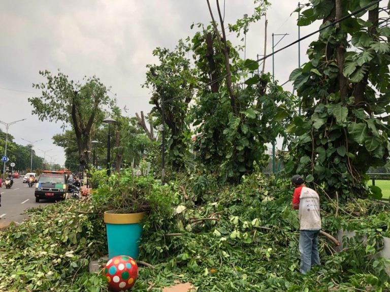 Pemkot Surabaya Olah Hasil Perantingan Pohon Jadi Kursi hingga Bahan Bakar Listrik