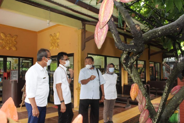 Potensi Pengembangan Kakao di Jatim 16.000 Ha