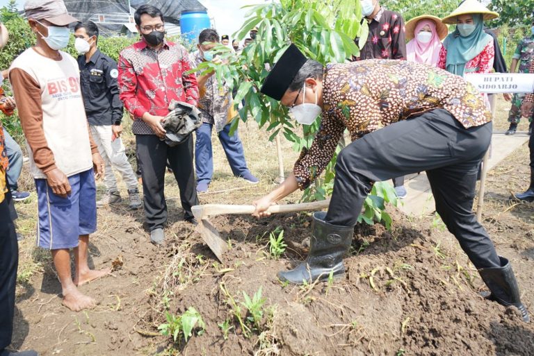 Kampung Wisata Kelengkeng Jadi Pemberdayaan Ekonomi Masyarakat