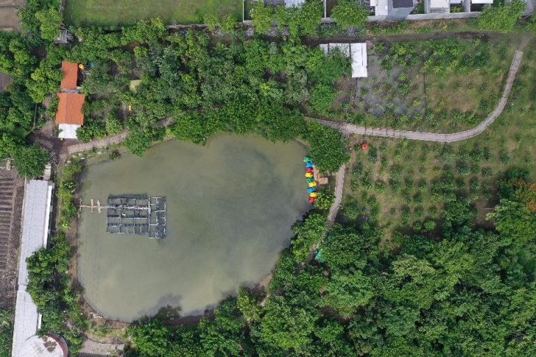 Lampaui Target, RTH di Surabaya Capai 22 Persen