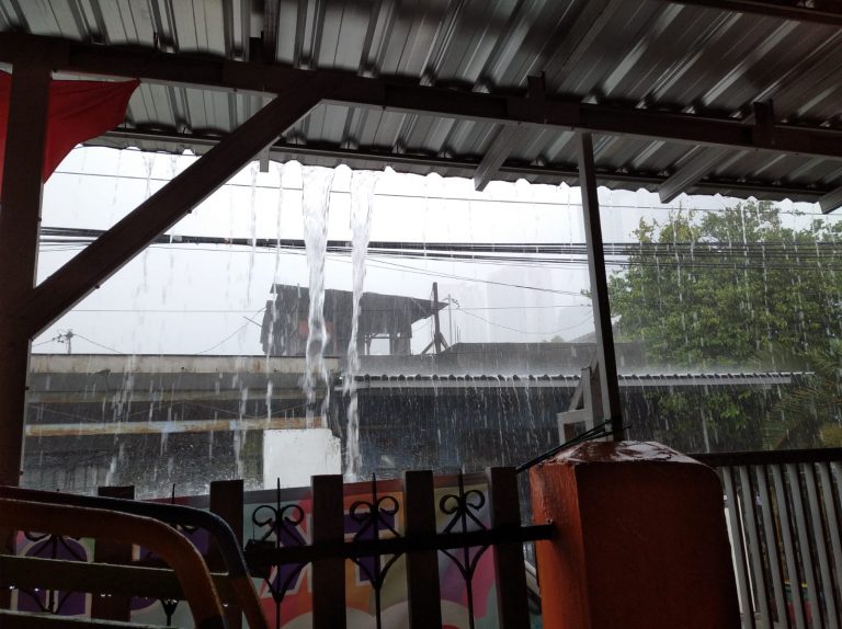 Hujan Deras dan Angin Kencang, Ratusan Pohon Tumbang