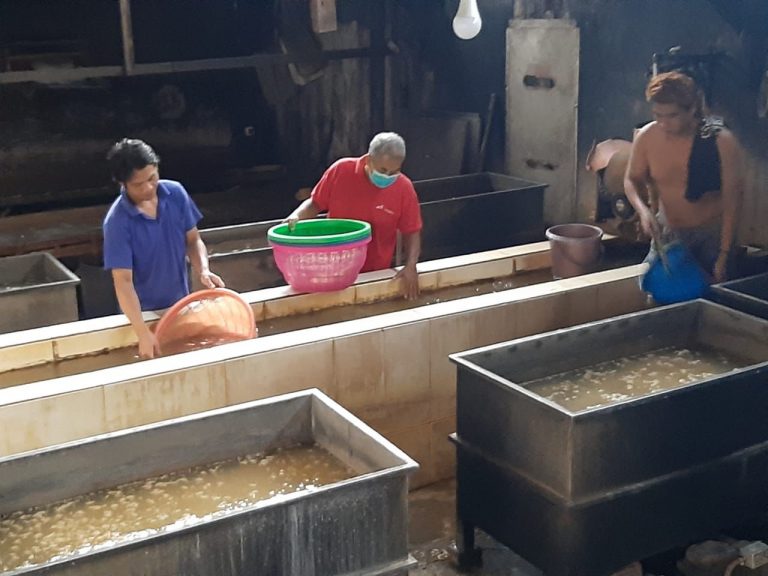 Puluhan Produsen Tempe di Sidoarjo Berhenti Produksi