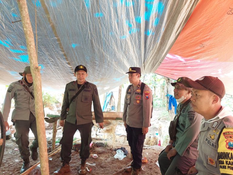 Banyuwangi, (pawartajatim.com) – Personel gabungan TNI, Polisi dan Perhutani merazia aktivitas tambang emas ilegal lereng Gunung Tumpangpitu, Desa Sumberagung, Kecamatan Pesanggaran, Banyuwangi, Rabu (16/2/2022) siang. Hasilnya, ditemukan peralatan penyedot air di dekat lubang galian. Mesin itu akhirnya diamankan ke Polsek Pesanggaran. Selain mesin, petugas mendapati tenda yang diduga digunakan penambang ilegal. “ Sebenarnya kita hanya patroli rutin bersama TNI dan Perhutani. Akhirnya, mendapati mesin penyedot air di lokasi galian,” kata Kapolsek Pesanggaran AKP Subandi. Diduga, mesin penyedot air itu ditinggalkan pemiliknya. Ketika tiba di lokasi, situasi sepi. Tak ada satupun penambang. Hanya bekas aktivitas galian yang berserakan. Dugaannya, penambang meninggalkan lokasi itu akibat musim hujan. Mereka memilih turun gurung. “ Memang sejak lama sudah sepi, tidak ada aktivitas penambangan,” tegas Kapolsek. Razia kali ini, menurut Kapolsek, untuk mendampingi Perhutani memantau kondisi hutan di lereng Tumpangpitu. Patroli digelar di dua titik, masing-masing petak 45 dan petak 47. Kawasan ini dicurigai menjadi lokasi penambangan emas ilegal. Mereka membuka galian secara liar. Otomatis merusak ekosistem hutan produksi milik Perhutani Banyuwangi Selatan ini. (udi) FOTO : Personel gabungan Polisi, TNI dan Perhutani merazia kawasan tambang emas ilegal di lereng Tumpangpitu, Banyuwangi, Rabu (16/2/2022) siang/ist