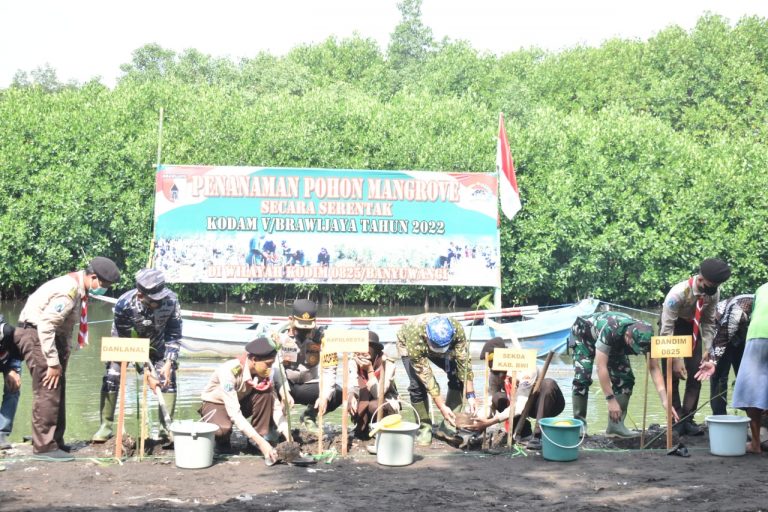Kodim Banyuwangi Hijaukan Pantai Syariah dengan 750 Pohon Mangrove