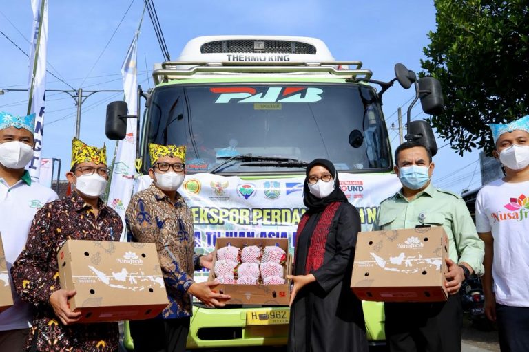 Banyuwangi Ekspor Perdana Buah Naga Organik ke Eropa, Nilainya Rp 1,8 Miliar  