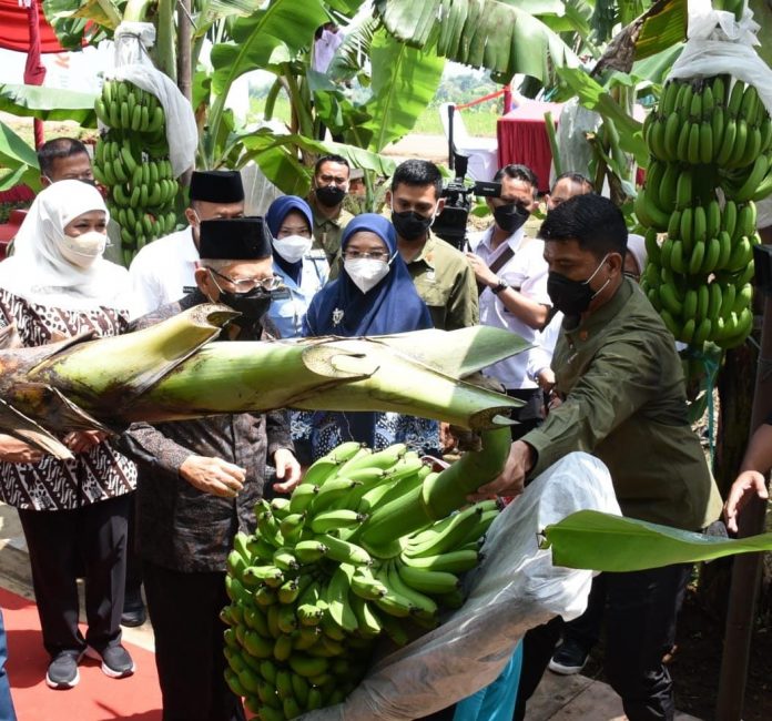 WhatsApp Image 2022-03-31 at 12.31.25