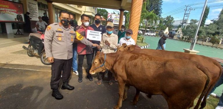 Dua Sapi yang Dicuri Kembali, Peternak di Banyuwangi Doakan Polisi Selalu Sehat 