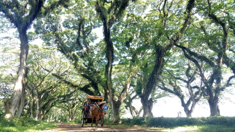Libur Lebaran, Banyuwangi Buka Destinasi Wisata 100 Persen