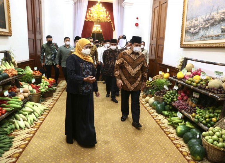 Khofifah Ajak Menhan Prabowo Cicipi Buah Nanas