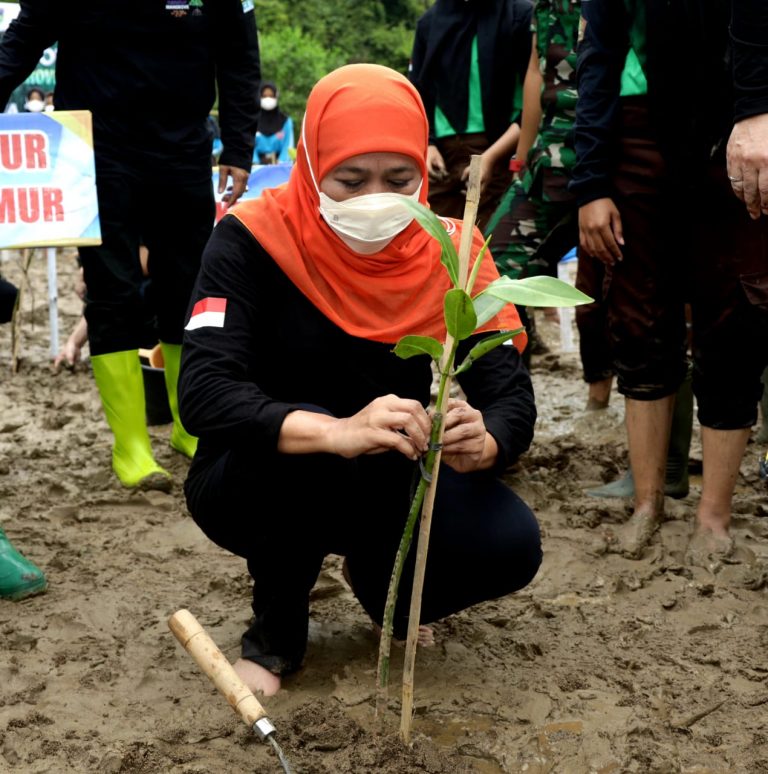 Peringati Hari Lingkungan Hidup se-Dunia, Gubernur Ajak Masyarakat Cintai Lingkungan
