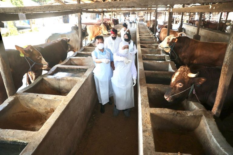 Tindaklanjuti SE Kemenag, Gubernur Anjurkan Penyembelihan Kurban di RPH atau Dititipkan ke Lembaga yang Memenuhi Syarat