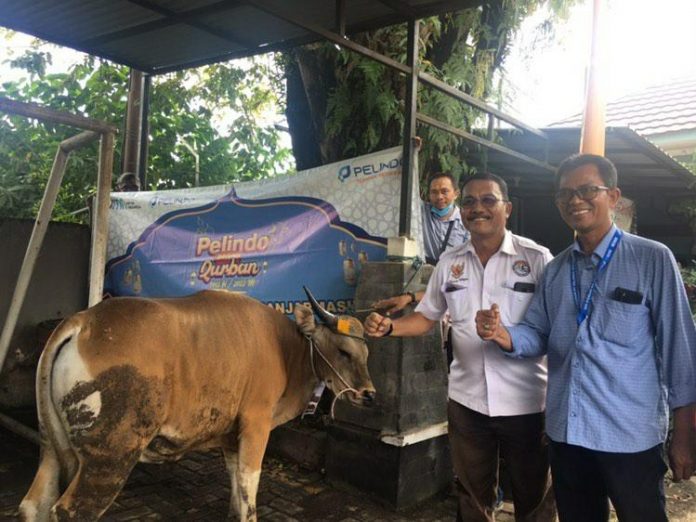 WhatsApp Image 2022-07-09 at 19.08.17