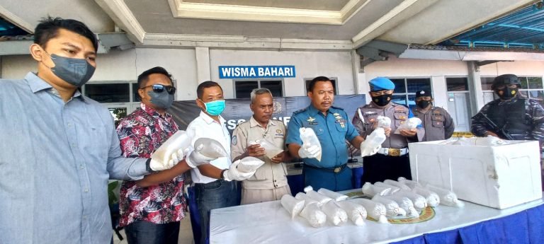 TNI AL Gagalkan Pengiriman Ribuan Benur Lobster di Pesisir Selatan Banyuwangi