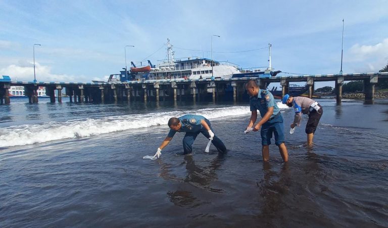 Ribuan Benih Lobster Hasil Sitaan TNI AL Dilepasliarkan di Selat Bali
