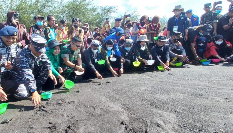 Rawan Punah, Puluhan Ekor Tukik Langka Dilepas di Selat Bali 