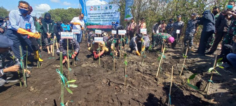 Hari Mangrove se-Dunia, TNI AL Ajak Pelajar di Banyuwangi Bertanam Mangrove di Surganya Pendaratan Penyu