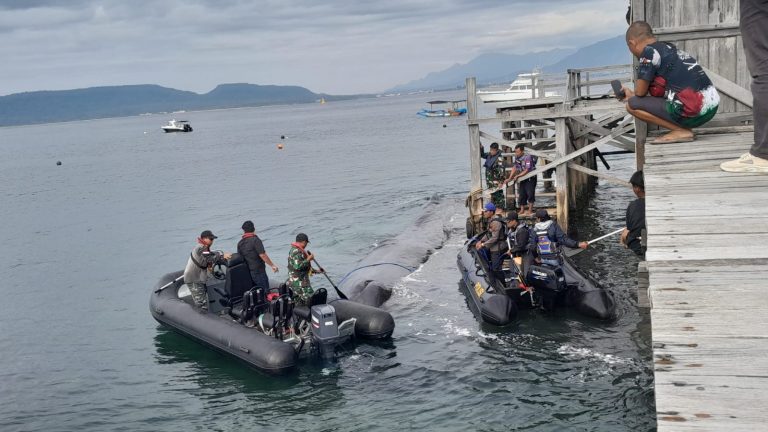 Ikan Paus Terdampar di Pantai Bulusan Banyuwangi 