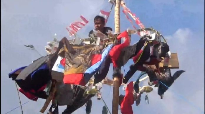 WhatsApp Image 2022-08-19 at 04.58.35