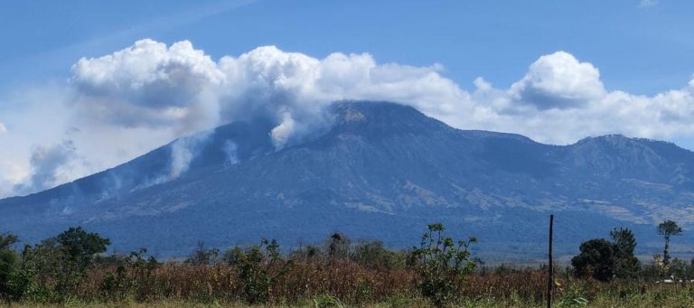 Musim Kemarau, Lereng Gunung Merapi Ungup-ungup Banyuwangi Terbakar