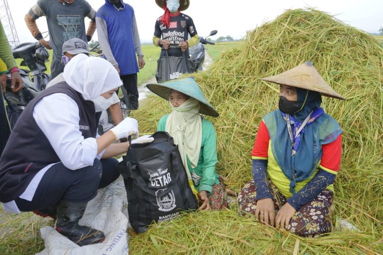 NTP Petani Jatim Alami Kenaikan, Kesejahteraan dapat Ditingkatkan