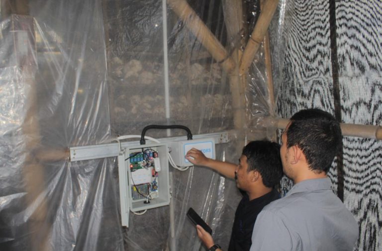 Jawab Kebutuhan Petani Jamur di Jabar, XL Bangun Solusi IoT ‘Mushtech’