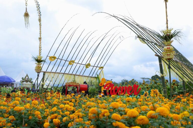 Persawahan di Desa Karangdoro, Banyuwangi disulap menjadi wisata bunga.