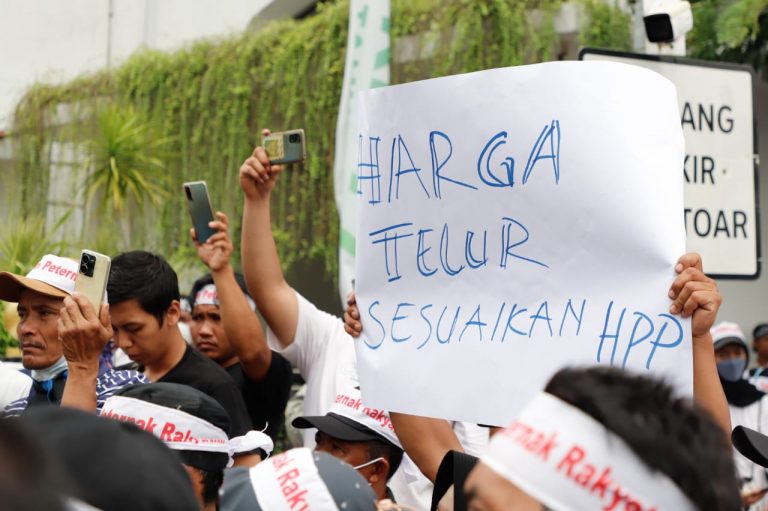 Setelah Diprotes, Operasi Pasar untuk Komoditas Telur dan Daging Ayan Broiler Dihentikan