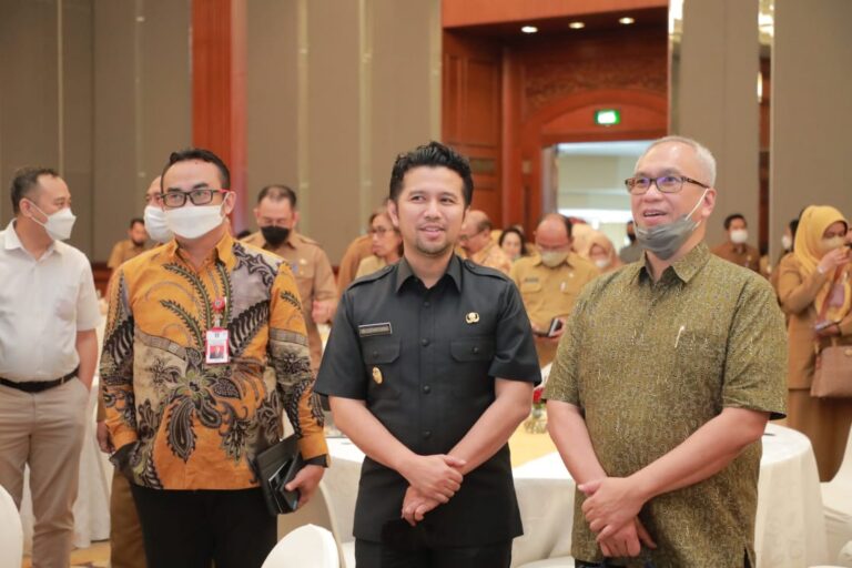Dewan Nasional KEK Tetapkan Singhasari dan Gresik Siap Terima Investor