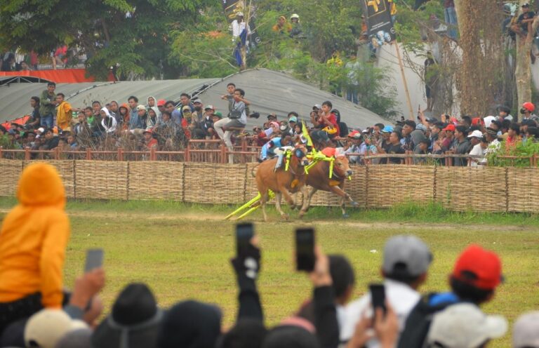 Karapan Sapi, Jadi Pelecut Bangkitnya Ekonomi dan Wisata di Madura