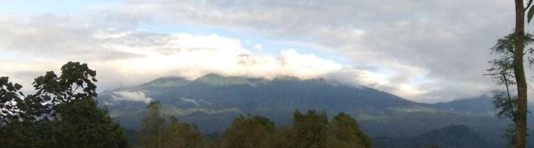 Macan Tutul Berkeliaran di Kebun, Warga Lereng Raung Banyuwangi Resah 