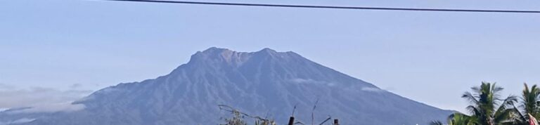 Siaga Macan Tutul Masuk Perkebunan di Banyuwangi, BKSDA Segera Pasang Kamera Trap 