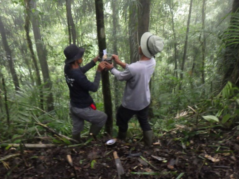 Aktivis penyelamatan satwa dilindungi memasang kamera trap di lereng Raung, Banyuwangi untuk melacak macan tutul/ist