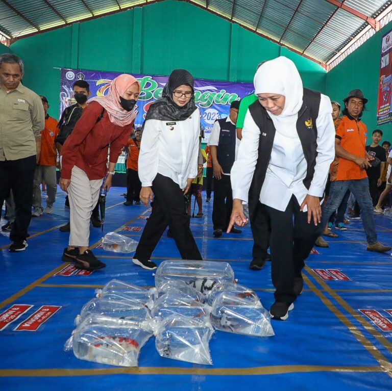 Ikan Koi Blitar Tembus Pasar Ekspor