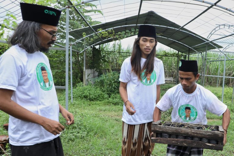 Perkuat Ketahanan Pangan, Kyai Muda Jatim Dukung Budi Daya Kacang Sacha Inchi di Ponpes Fathul Ulum Jombang