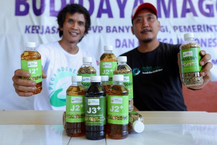 Pemuda di Banyuwangi mengolah sampah sungai menjadi pupuk organik.