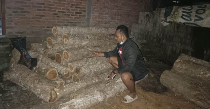Petugas menyita tumpukan kayu jati curian dari kawasan Perhutani Banyuwangi Selatan, Kecamatan Purwoharjo, Banyuwangi.