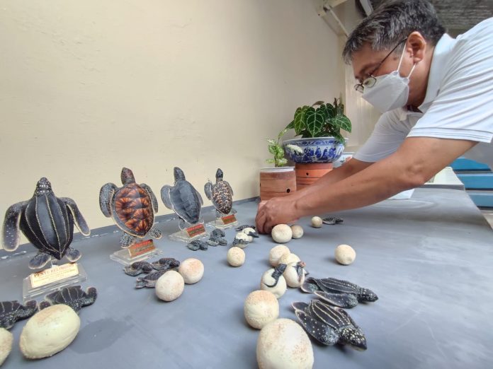 Aneka replika penyu dengan ukuran sesuai aslinya yang dibuat pegiat perlindungan penyu di Banyuwangi.