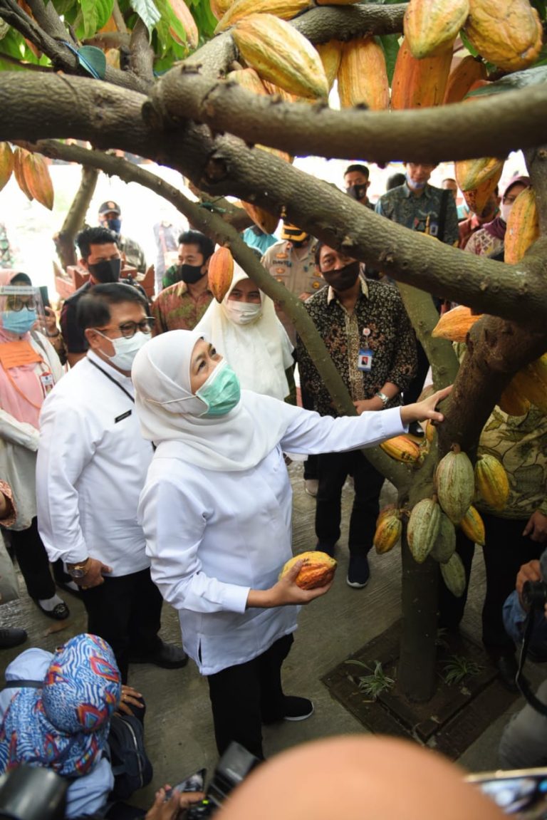 Sensus Pertanian Dimulai 1 Juni, Gubernur Optimis Hasil Data Akurat Akan Jadi Acuan Kebijakan