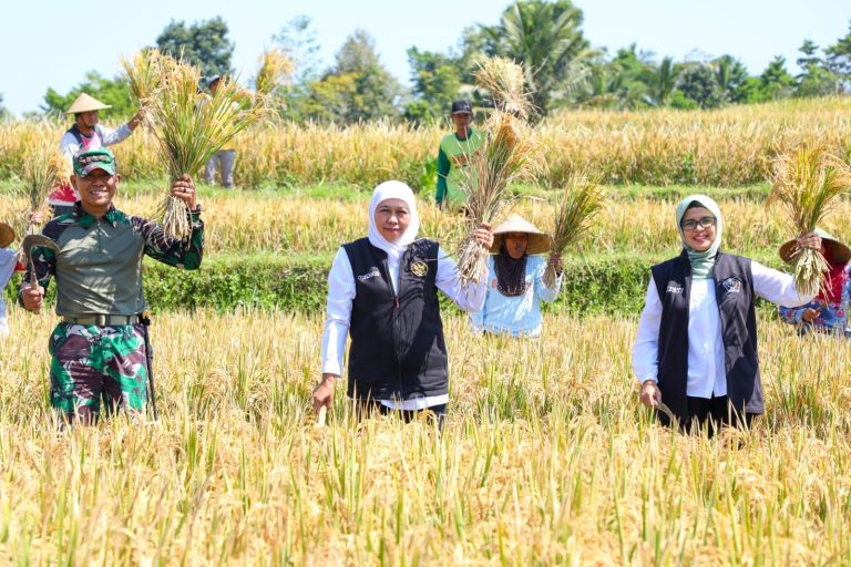 Gubernur Apresiasi Inovasi Petani yang Kembangkan Pupuk Organik ‘Biosaka’