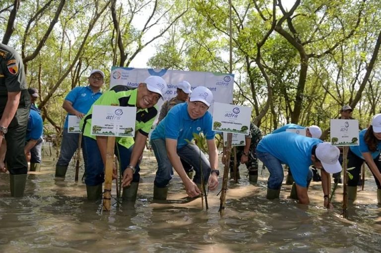 Estafet Peduli Bumi, Asuransi Astra Tanam 5.000 Bibit Mangrove