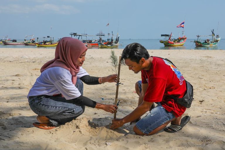 Orang Muda Ganjar Gelar Program Tanam Pohon Cemara Udang di Tuban