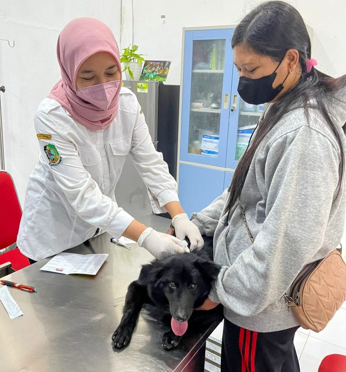 Vaksinasi rabies pada hewan piaraan di Banyuwangi, belum lama ini. (foto/ist)