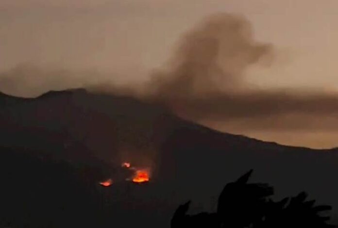 Kebakaran melanda lereng gunung di utara Banyuwangi, Senin (17/7/2023) malam. (foto/ist)