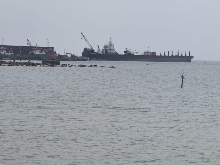 Tak Kantongi Izin, Orella Shipyard Beroperasi Puluhan Tahun