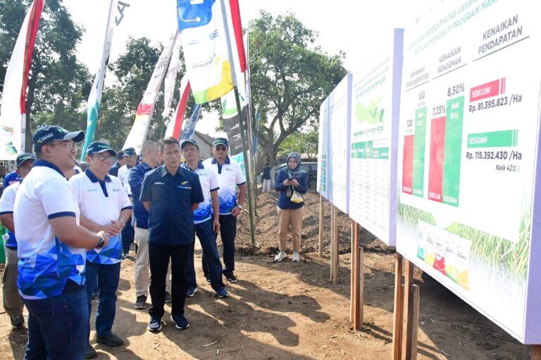 Program Makmur Petro Gresik – SGN Tingkatkan Produktivitas Tebu