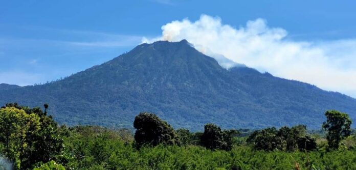 Puncak Merapi Ungup-ungup di pegunungan Ijen Banyuwangi terbakar, Jumat (11/8/2023).