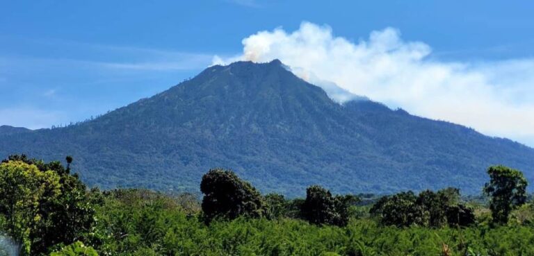 Puncak Merapi Ungup-ungup di pegunungan Ijen Banyuwangi terbakar, Jumat (11/8/2023).