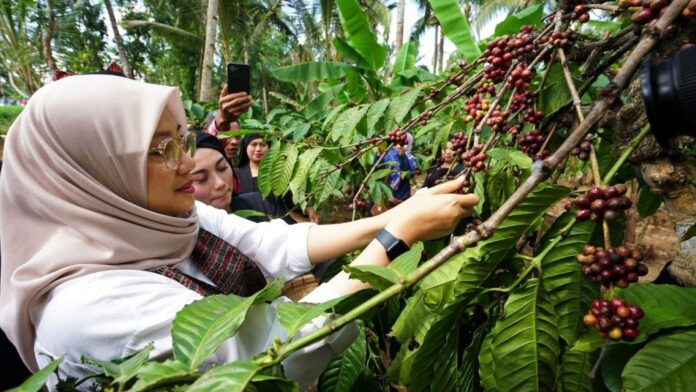 WhatsApp Image 2023-08-14 at 17.41.32 Kopi robusta Banyuwangi didaftarkan paten geografis di Kemenkumham.