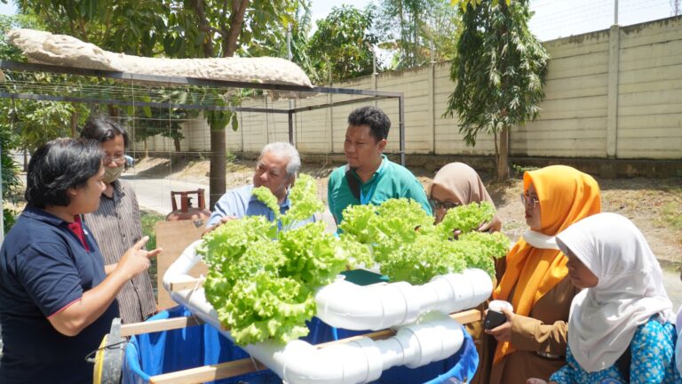 LPPM PCU Dampingi Warga Kembangkan Budidaya Aquaponik